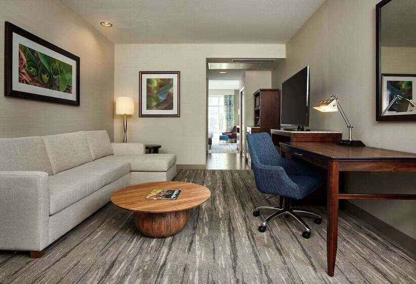 سوئیت با تخت بزرگ, Hilton Garden Inn Nashville Downtown/convention Center