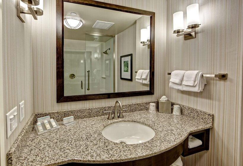 اتاق استاندارد با تخت بزرگ برای معلولان, Hilton Garden Inn Nashville Downtown/convention Center