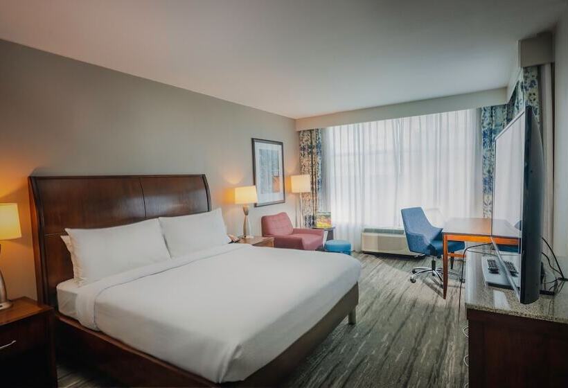 اتاق استاندارد با تخت بزرگ برای معلولان, Hilton Garden Inn Nashville Downtown/convention Center