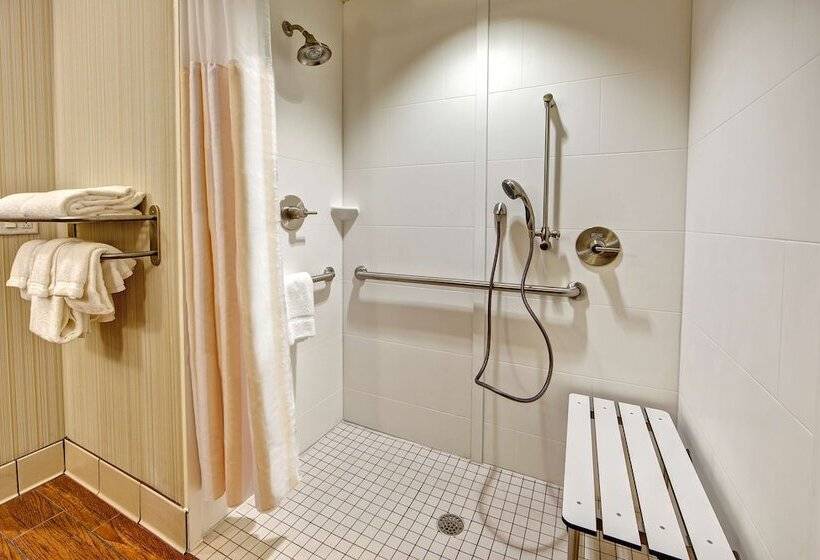 اتاق استاندارد برای معلولان, Hilton Garden Inn Nashville Downtown/convention Center