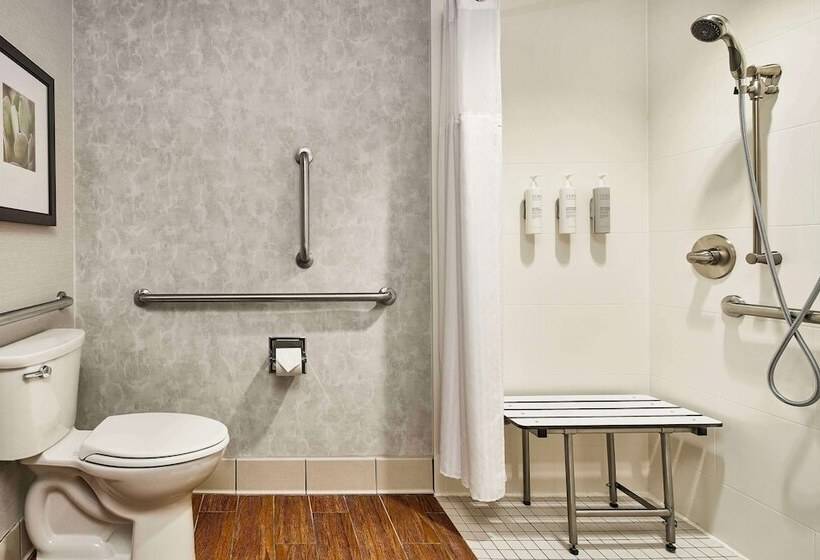 اتاق استاندارد برای معلولان, Hilton Garden Inn Nashville Downtown/convention Center