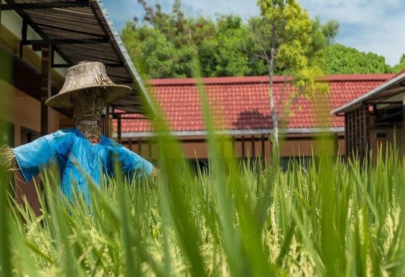 Quarto deluxe, Naina Resort & Spa   Sha Extra Plus