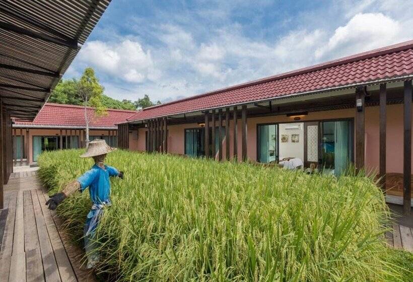 Quarto deluxe, Naina Resort & Spa   Sha Extra Plus