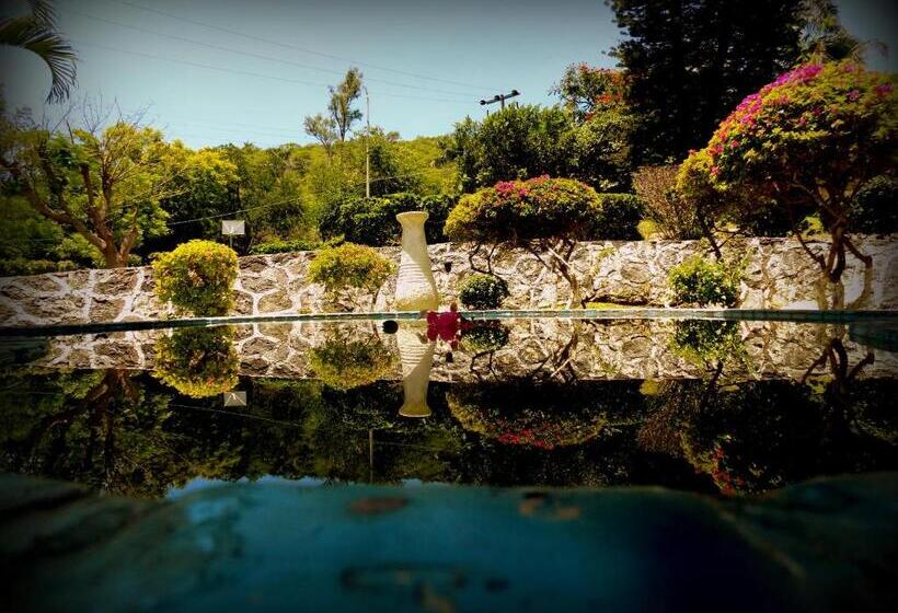 ファミリールーム, Piedras De Sol Solaris Morelos