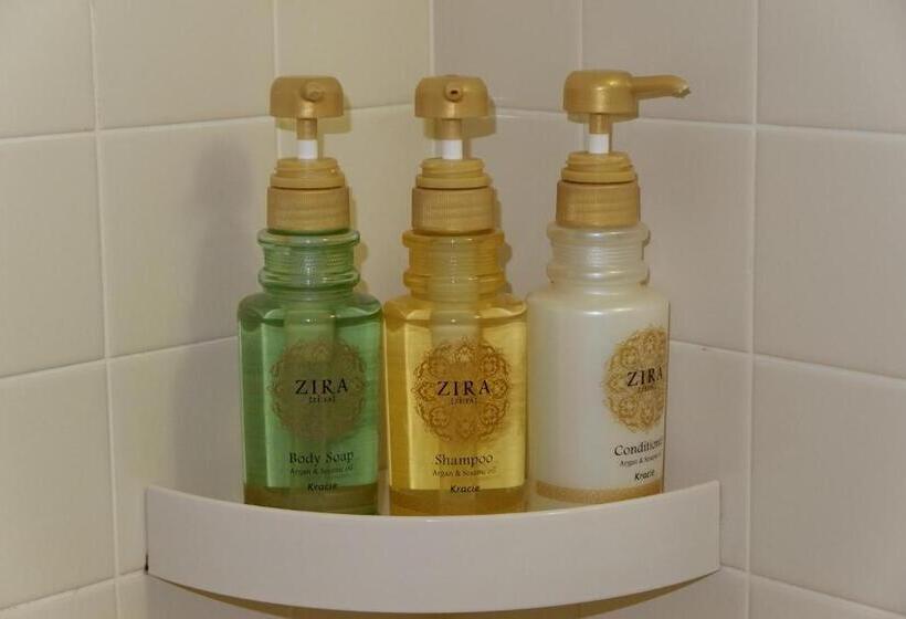 חדר אקונומי, Premier Hotel  Cabin  Obihiro