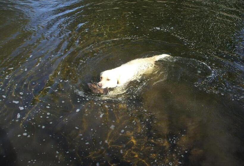 חדר סטנדרט נוף לנהר, The River Lodge