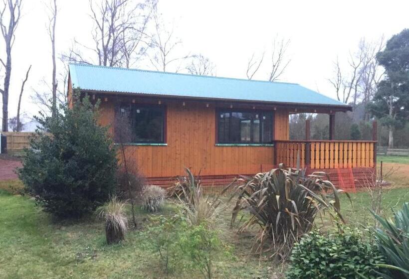 בקתת חדר, The River Lodge