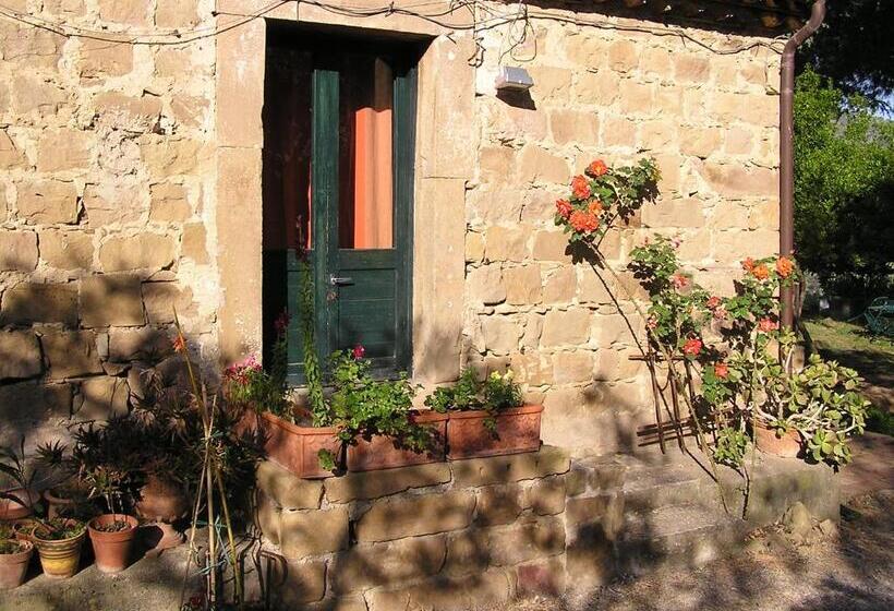 חדר סטודיו סטנדרד, Casa Migliaca