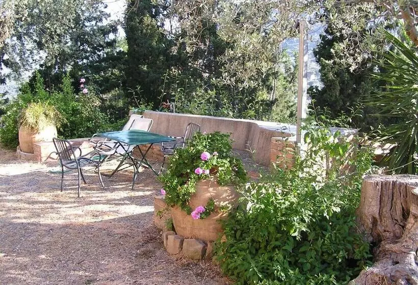 استودیوی استاندارد, Casa Migliaca