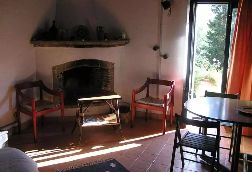 استودیوی استاندارد, Casa Migliaca