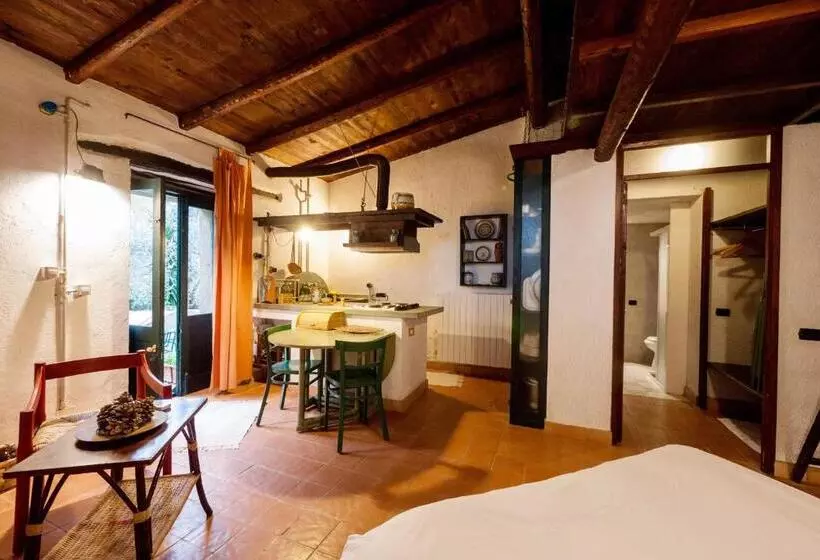 استودیوی استاندارد, Casa Migliaca