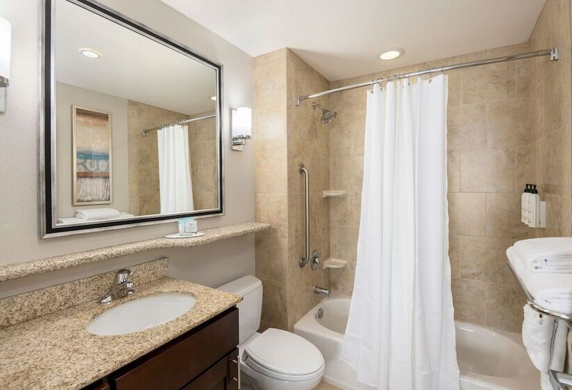 스탠다드 스튜디오, Towneplace Suites By Marriott Abilene Northeast