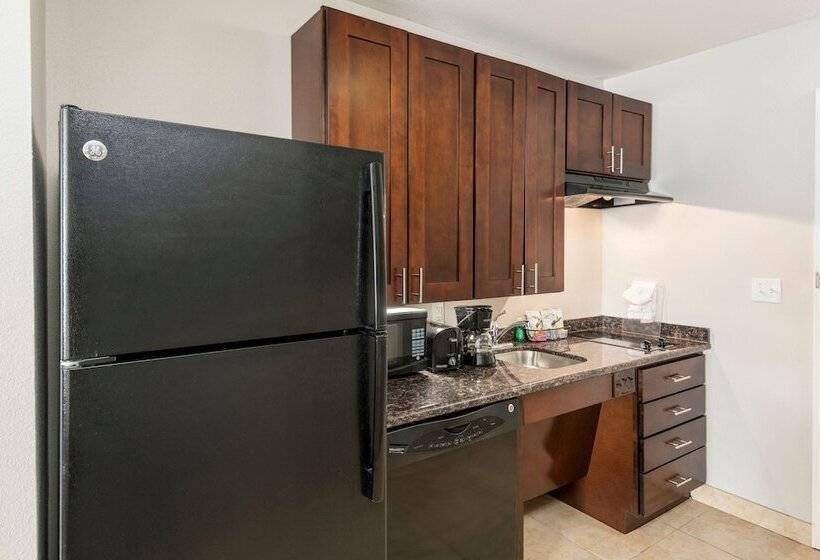 스탠다드 스튜디오, Towneplace Suites By Marriott Abilene Northeast