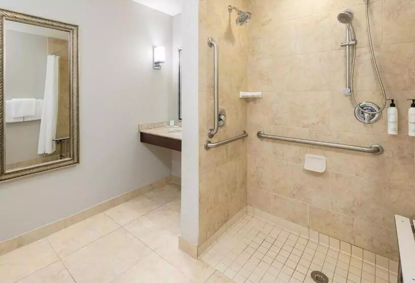 キングサイドベッドのスタンダードワンルーム, Towneplace Suites By Marriott Abilene Northeast