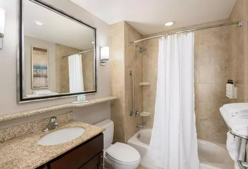 スタンダードスタジオ, Towneplace Suites By Marriott Abilene Northeast