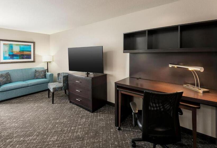 Студия Стандарт, Towneplace Suites By Marriott Abilene Northeast