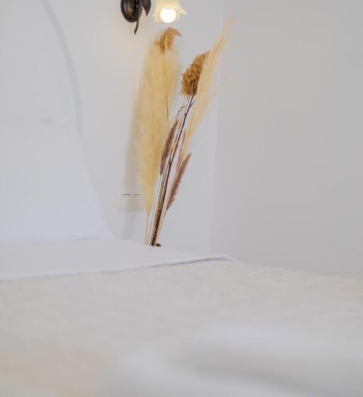 غرفة قياسية, Anemomilos