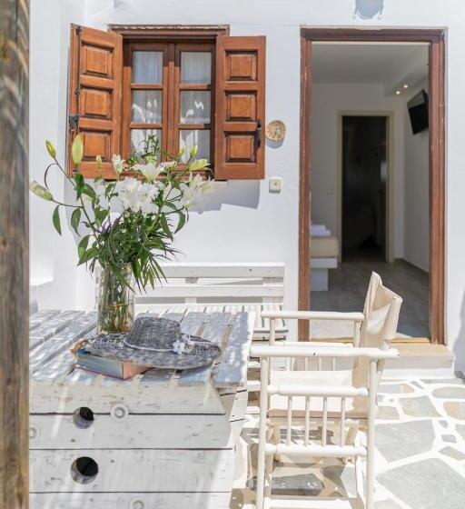 شقة غرفة واحدة, Anemomilos