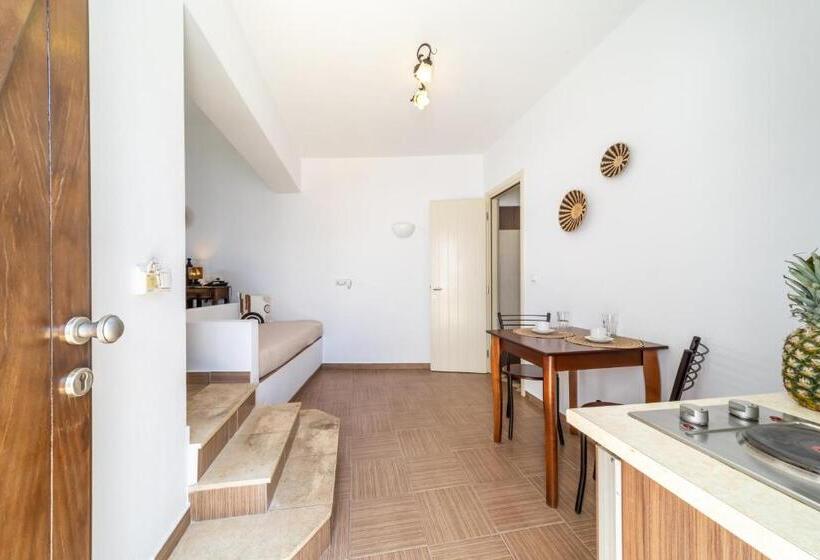 غرفة قياسية ثلاثية, Anemomilos