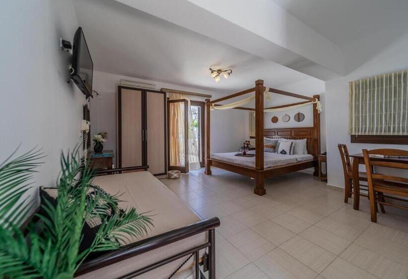 غرفة قياسية رباعية, Anemomilos