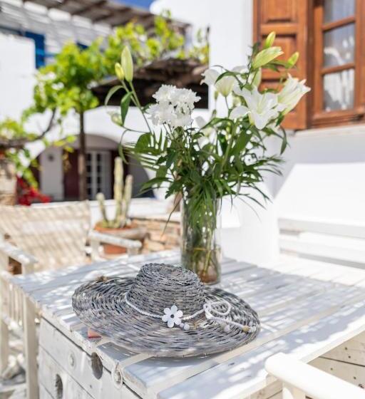 شقة غرفة واحدة, Anemomilos