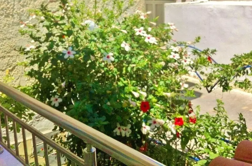 庭の見える１ベッドルームアパートメント, Apollonia Apartments