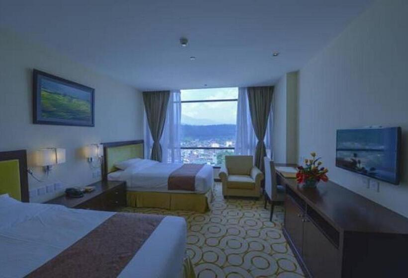 اتاق استاندارد, Aristo International