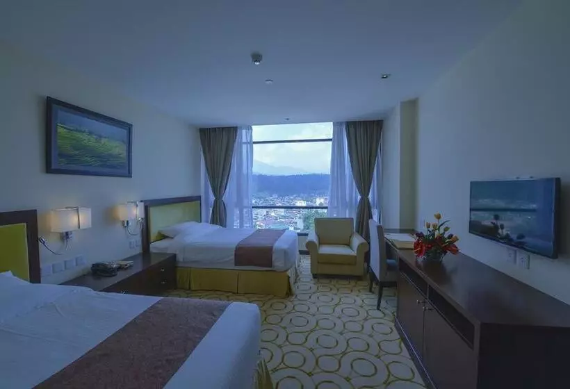اتاق استاندارد, Aristo International