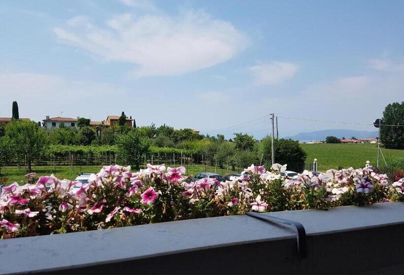 基本间, Bella Lazise