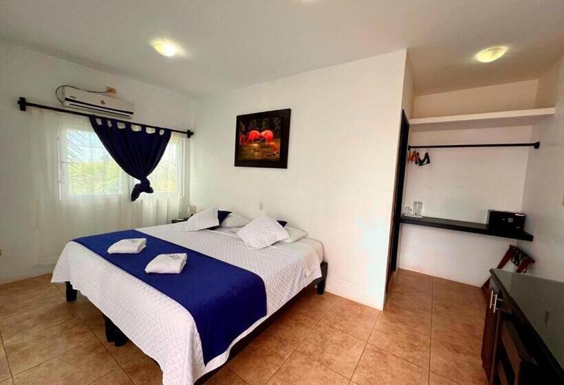 StandaardKamer, Cally