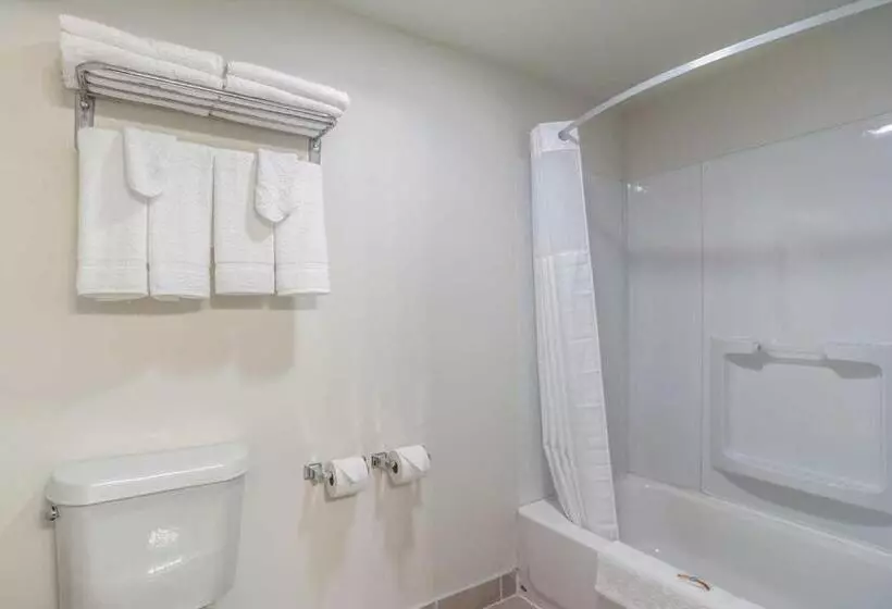 キングサイズベッドのスタンダードルーム, Days Inn By Wyndham Hartsfield Jackson Atlanta Airport West
