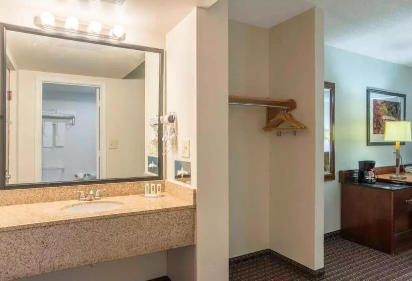 キングサイズベッドのデラックススイート, Days Inn By Wyndham Hartsfield Jackson Atlanta Airport West
