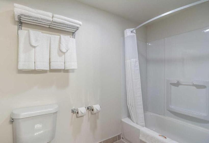 جناح ديلوكس سرير كينج, Days Inn By Wyndham Hartsfield Jackson Atlanta Airport West