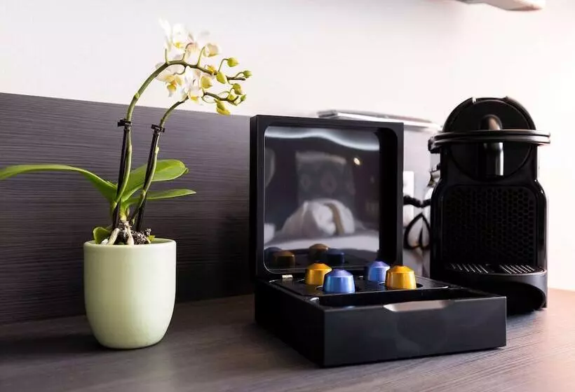 Prestige-huone, Mercure Bale Mulhouse Aeroport