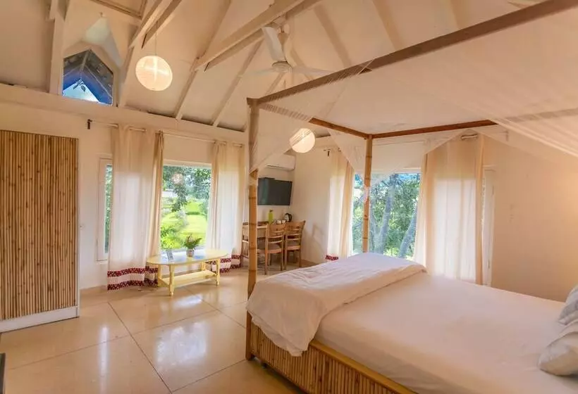 スタンダードルーム, Seclude Palampur