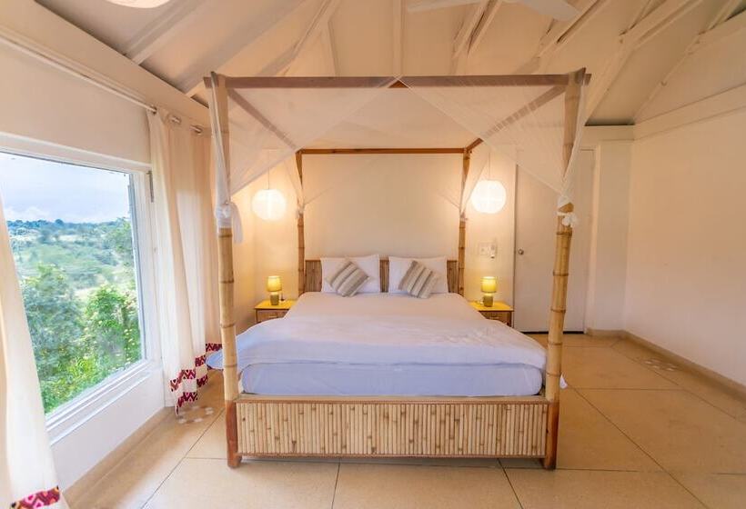 غرفة قياسية, Seclude Palampur