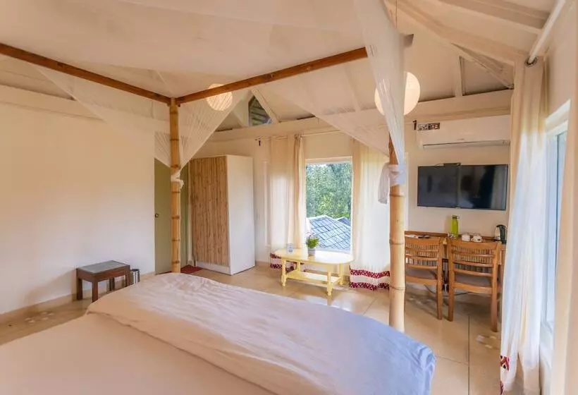 スタンダードルーム, Seclude Palampur