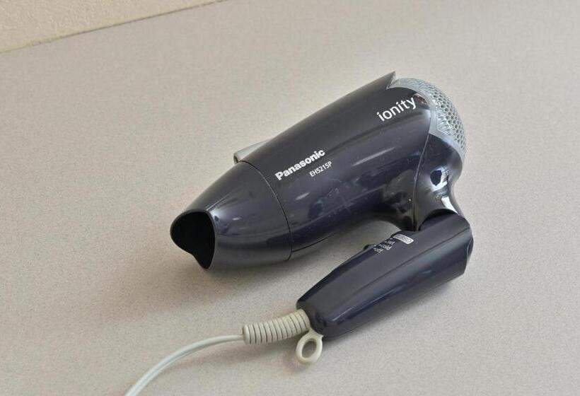 غرفة قياسية, Wakayama Daini Fuji