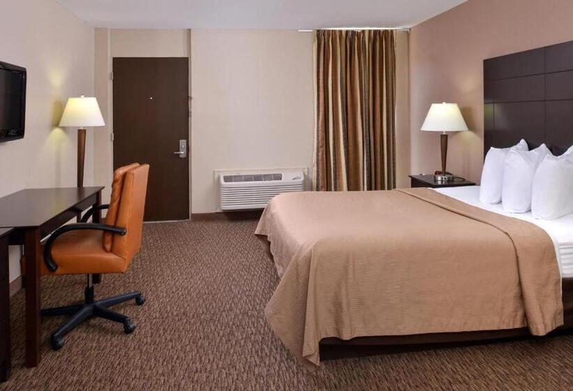 Номер Стандарт, Airport Inn