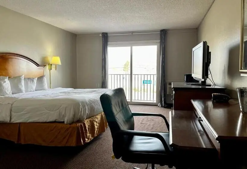 スタンダードシングルルーム, Miami Suites