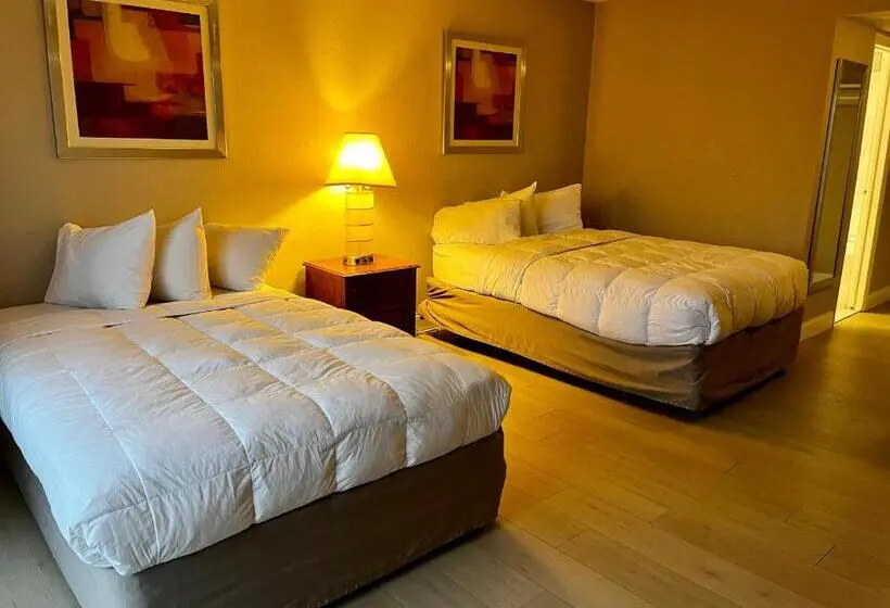 シングルデラックスルーム, Miami Suites
