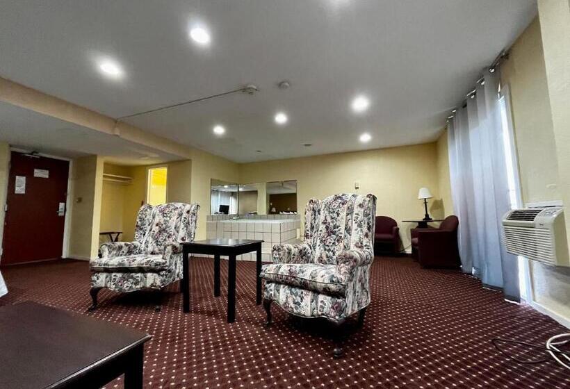 スーペリアシングルルーム, Miami Suites