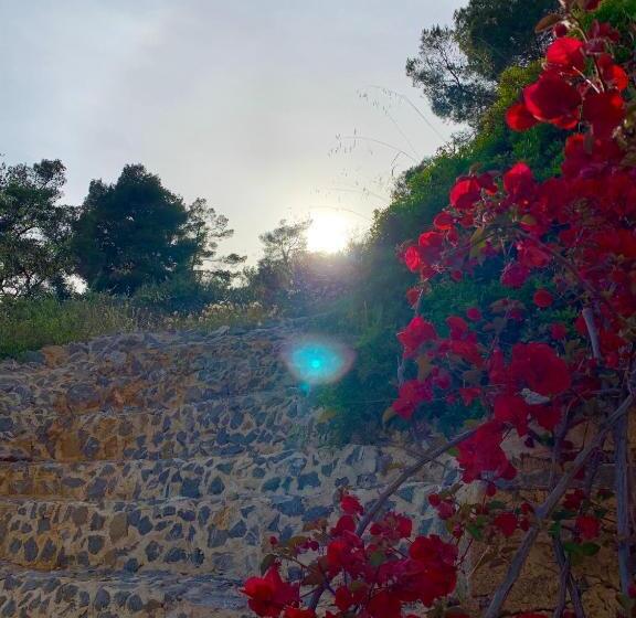 آپارتمان 1 خوابه با چشمانداز دریا, Fedra Apartments