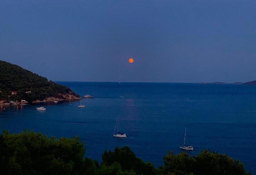 اتاق استاندارد با بالکن و چشمانداز دریا, Fedra Apartments