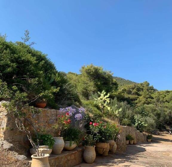 اتاق استاندارد با بالکن و چشمانداز دریا, Fedra Apartments