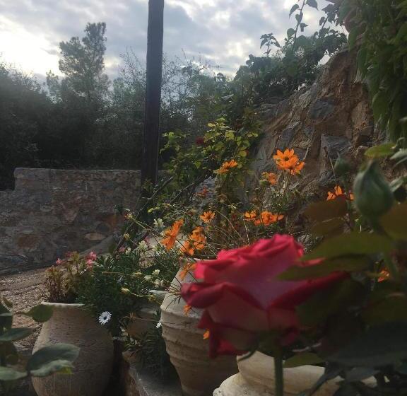 اتاق استاندارد با بالکن و چشمانداز دریا, Fedra Apartments