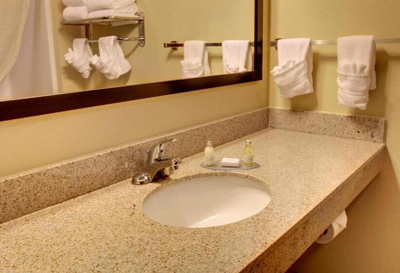 غرفة ديلوكس سرير كينج, Cobblestone Hotel & Suites   Charlestown