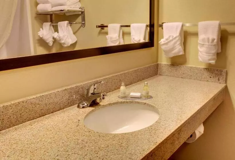 キングサイズベッドのデラックスルーム, Cobblestone Hotel & Suites   Charlestown