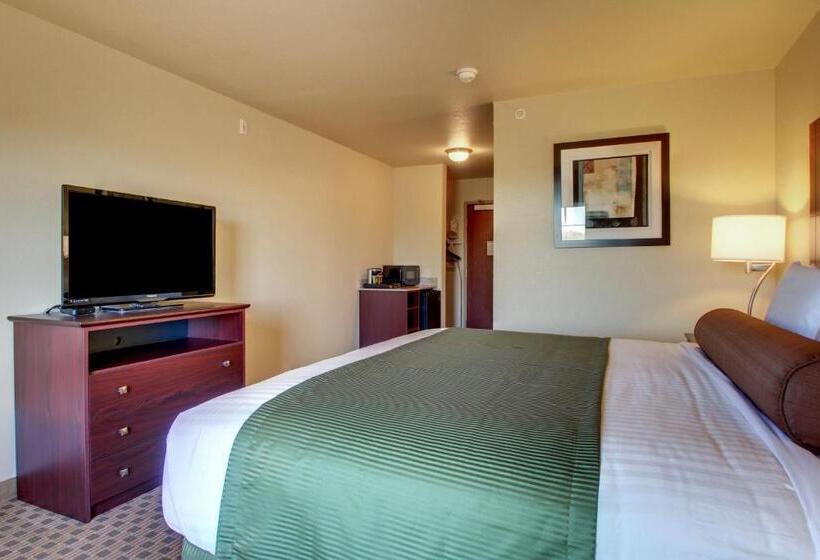 Номер Deluxe Кровать Кинг, Cobblestone Hotel & Suites   Charlestown