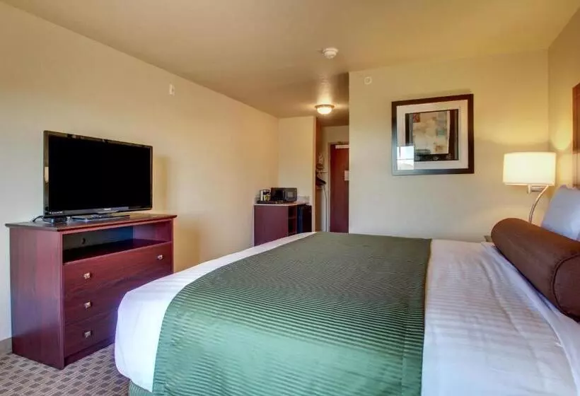 キングサイズベッドのデラックスルーム, Cobblestone Hotel & Suites   Charlestown